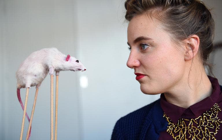 Dutch artist Noortje Zijlstra poses with one of her creations at her studio in The Hague, on January 27, 2015
