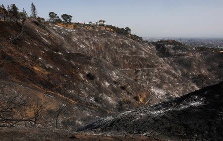 A scorched hillside is shown after a fire near the landmark Griffith Observatory in the hills overlooking Los Angeles, California, U.S. July 10, 2018. REUTERS/Patrick T. Fallon