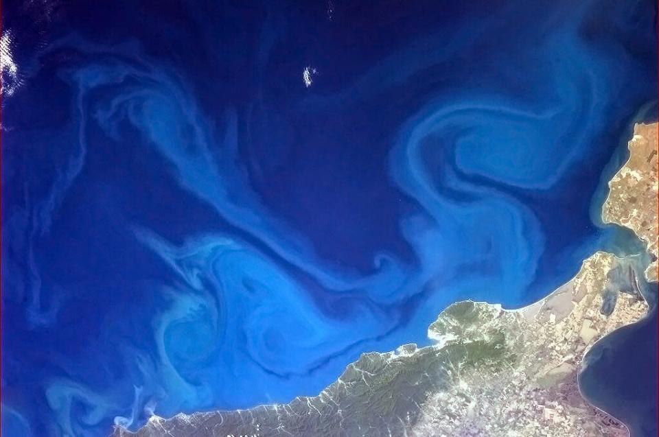 Dr. Seuss-inspired swirls in the Black Sea. <a href="https://twitter.com/Cmdr_Hadfield/" rel="nofollow noopener" target="_blank" data-ylk="slk:(Photo by Chris Hadfield/Twitter);elm:context_link;itc:0" class="link ">(Photo by Chris Hadfield/Twitter)</a>
