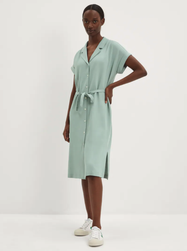 The Camp Collar Dress. Image via Frank And Oak.