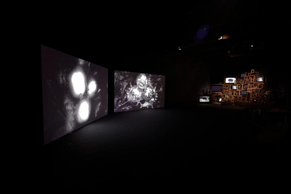 Installation view of 'Owl, Travelers and the Cement Canal' (2024) and 'Trash Sheet' (2024) as part of 'Seeing the Forest' at the Singapore Pavilion, supported by Charles & Keith, at the Arte 2024 Biennale (Courtesy of Robert) Zhao Renhu )