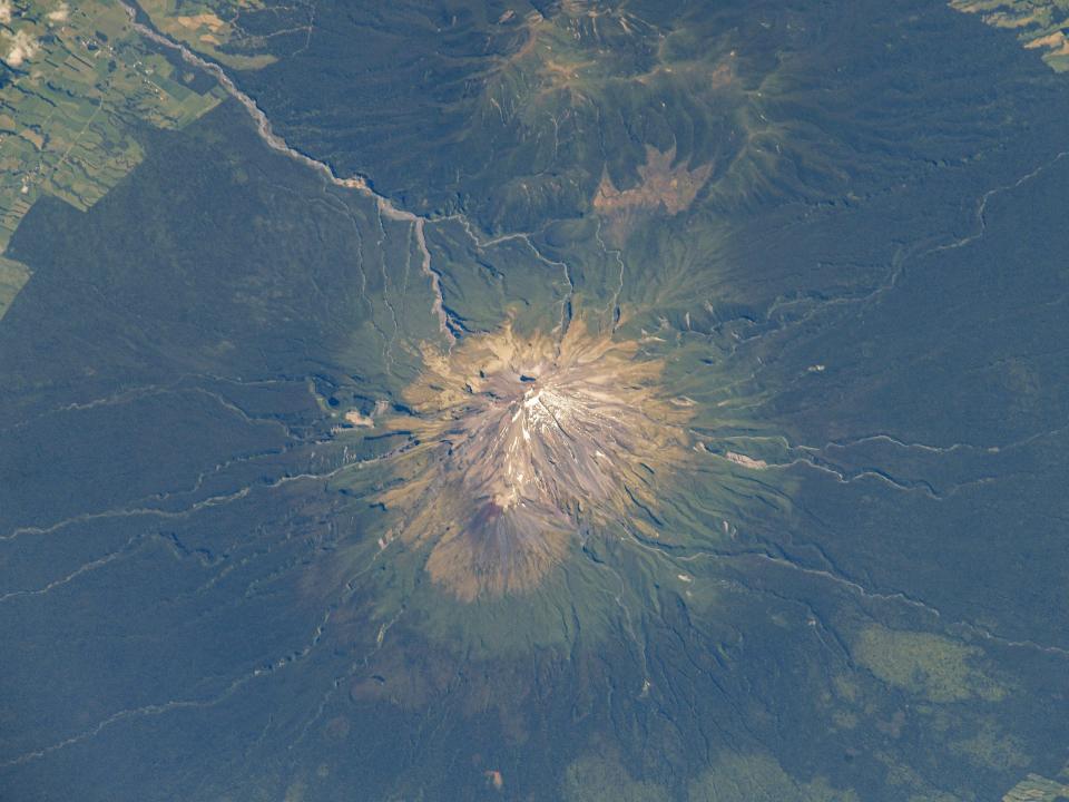 yellow brown mountain rises above deep green forest