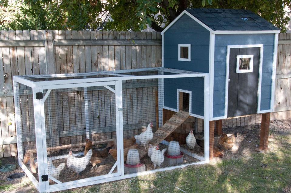 Simple Chicken Coop with Run