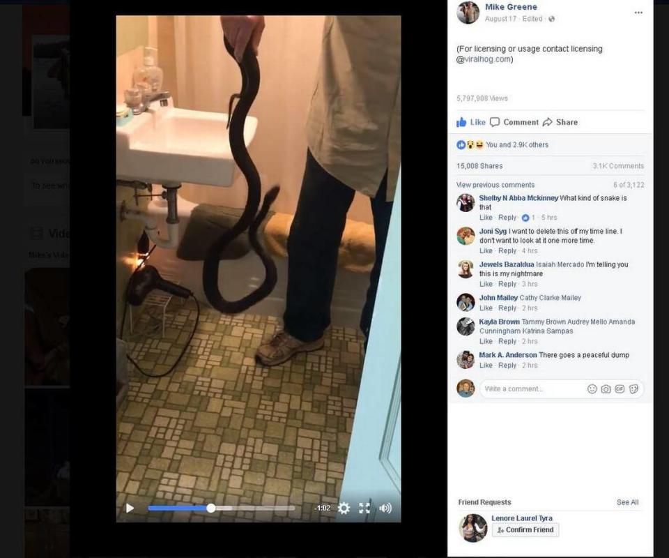 Cleveland County resident Mike Greene’s Facebook video of him pulling a 6-foot snake from his elderly neighbor’s toilet has gone viral, with nearly 5.8 million views.