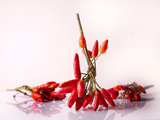 Le Pepper X, le piment le plus fort au monde