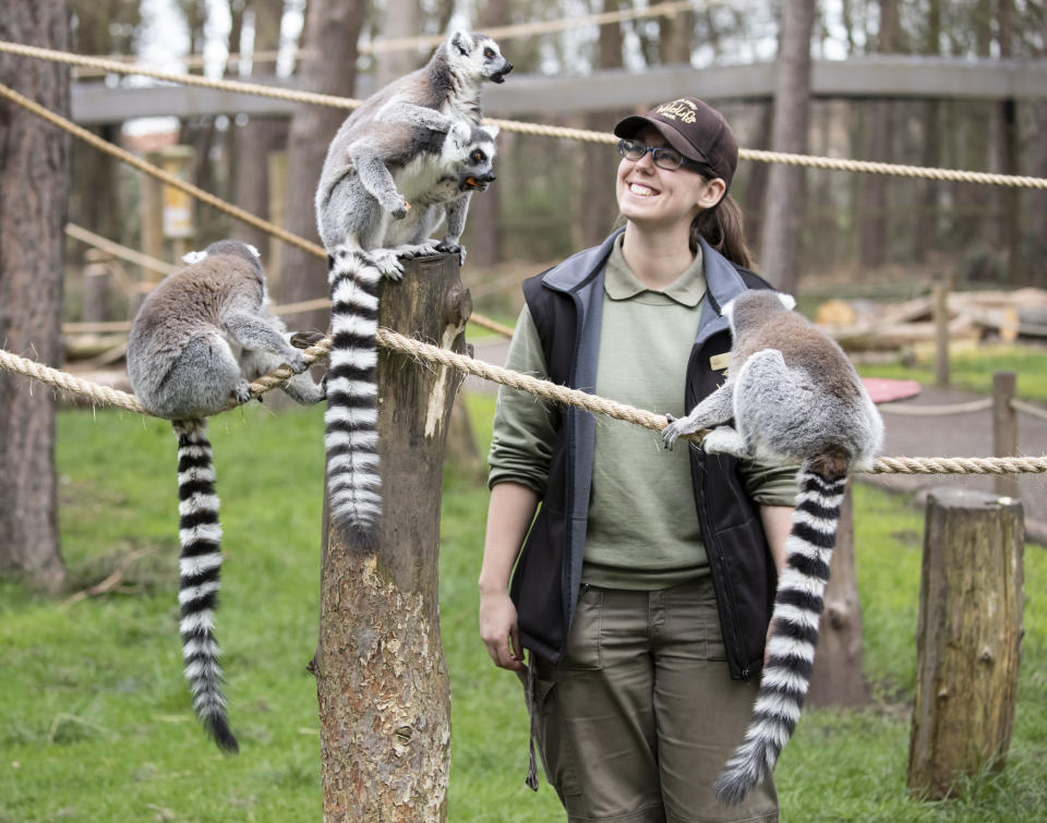 Keeper Amy Wright with Lemurs at Yorkshire Wildlife Park in Doncaster, where the park still remains open to the public as coronavirus continues to hit the UK.