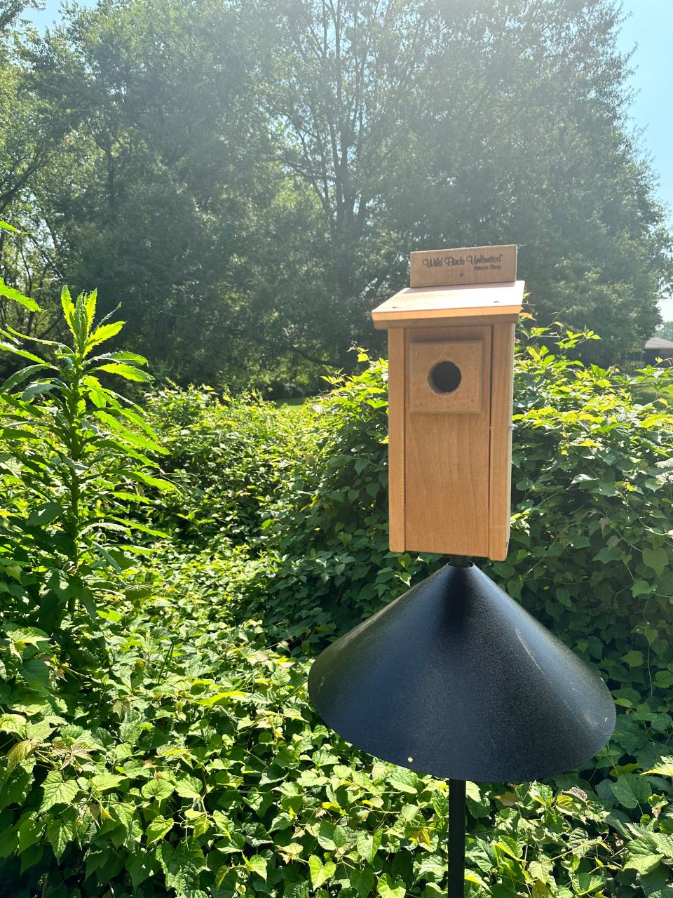 This is one of the bluebird houses constructed by Wild Birds Unlimited owners Carey and Lutrelle O'Cain at Sullivan Park.