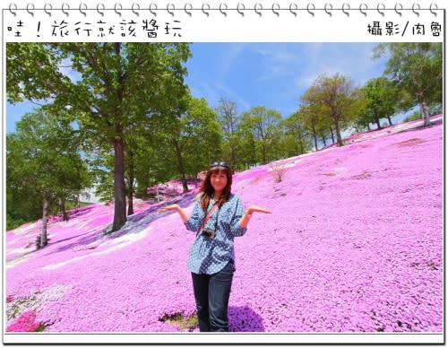 東藻琴芝櫻公園怒放超級滿開 撲天蓋地席捲而來的粉紅浪漫櫻花雪 一生一定要來朝聖一次的日本秘境