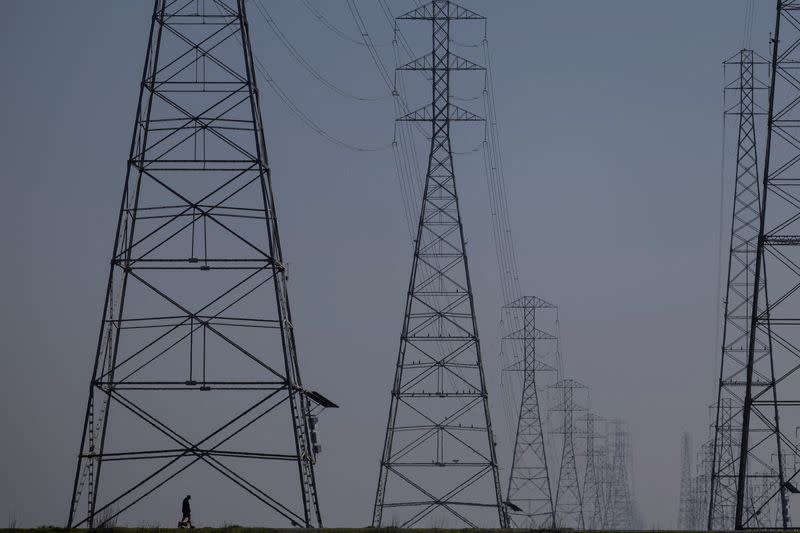 FILE PHOTO: Power grid towers at Bair Island State Marine Park in Redwood City, California, United States