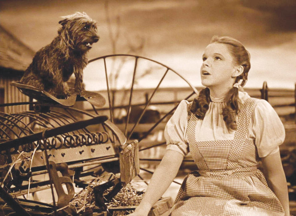 Garland in The Wizard of Oz.
