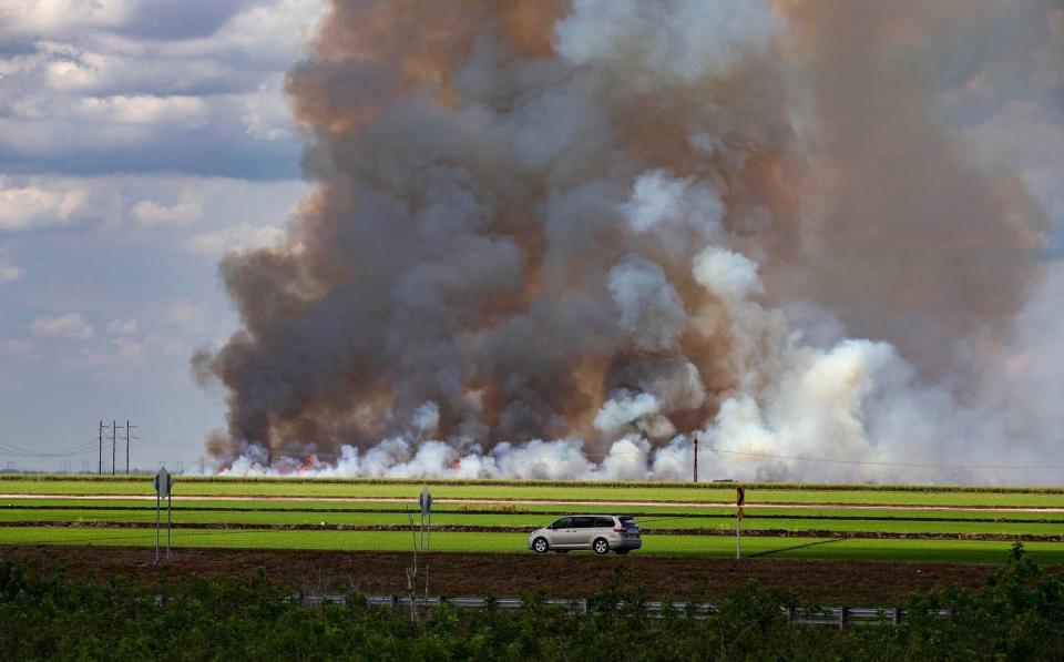 Sugar cane burns in preparation for harvesting in western Palm Beach County in 2020.