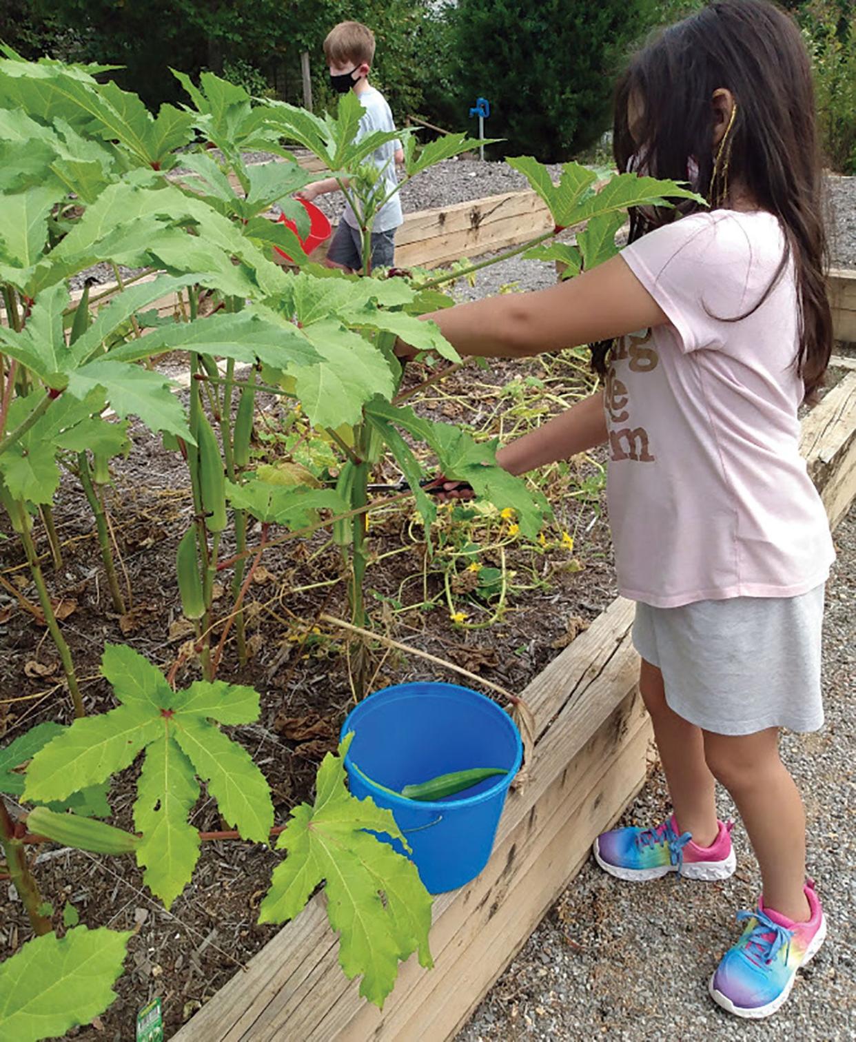 Children learn aboaut growing vegetables and fruit in the Children’s Museum garden