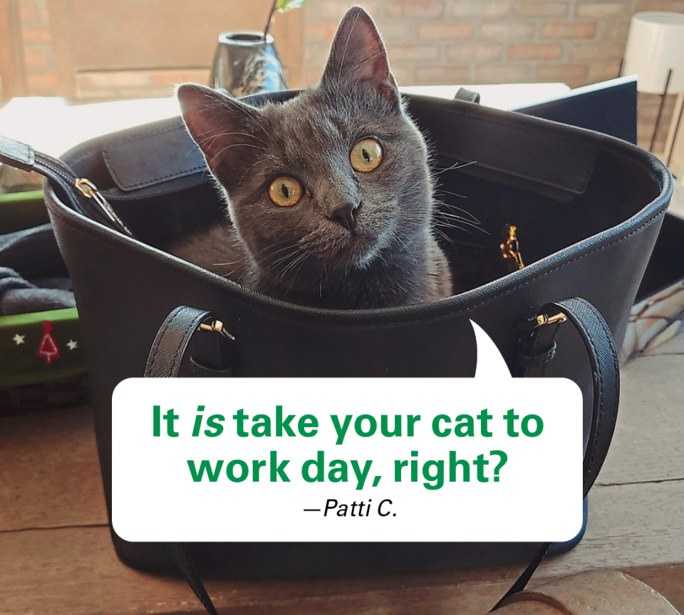 Caption contest winners: Cat in woman's purse poking head out with caption: 