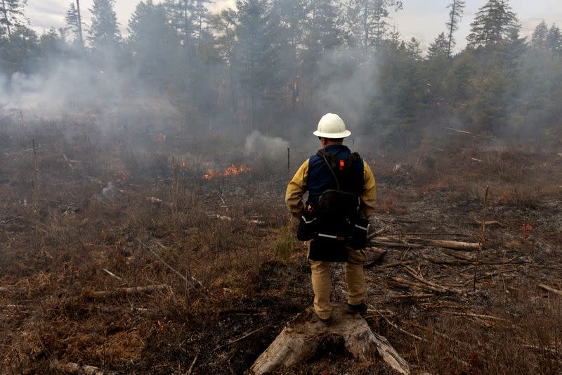 U.S. West Coast races to reduce wildfire risk ahead of summer