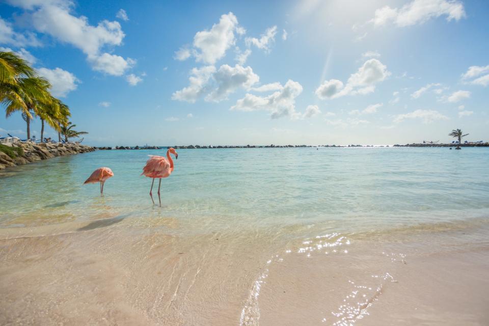 Visitors to Aruba need a negative coronavirus test and must purchase health insurance to cover the cost of any medical care while in the country.