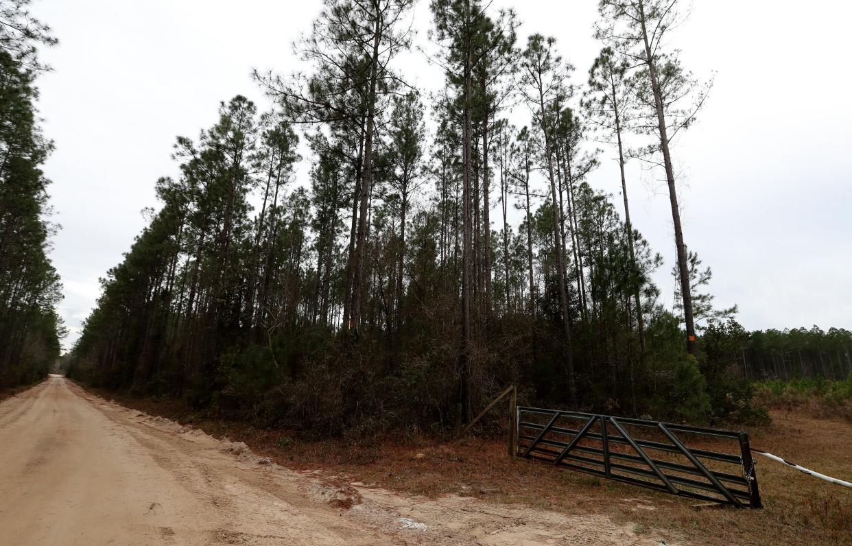 Undeveloped land on the right of Wildwood Church Road is being considered for annexed by the city Pembroke for a housing development.