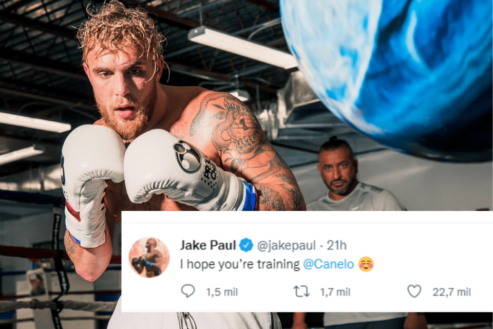 Jake Paul quiere pelea contra el Canelo Álvarez, 