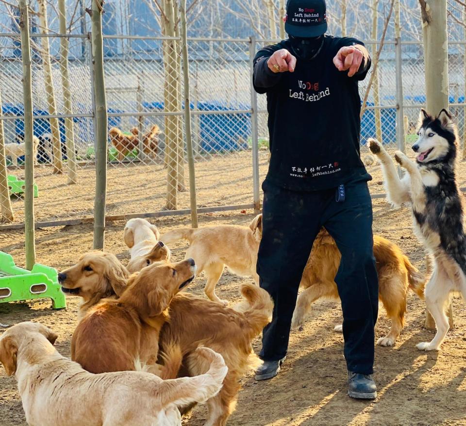 Jeffrey Beri at a No Dogs Left Behind Sanctuary in China