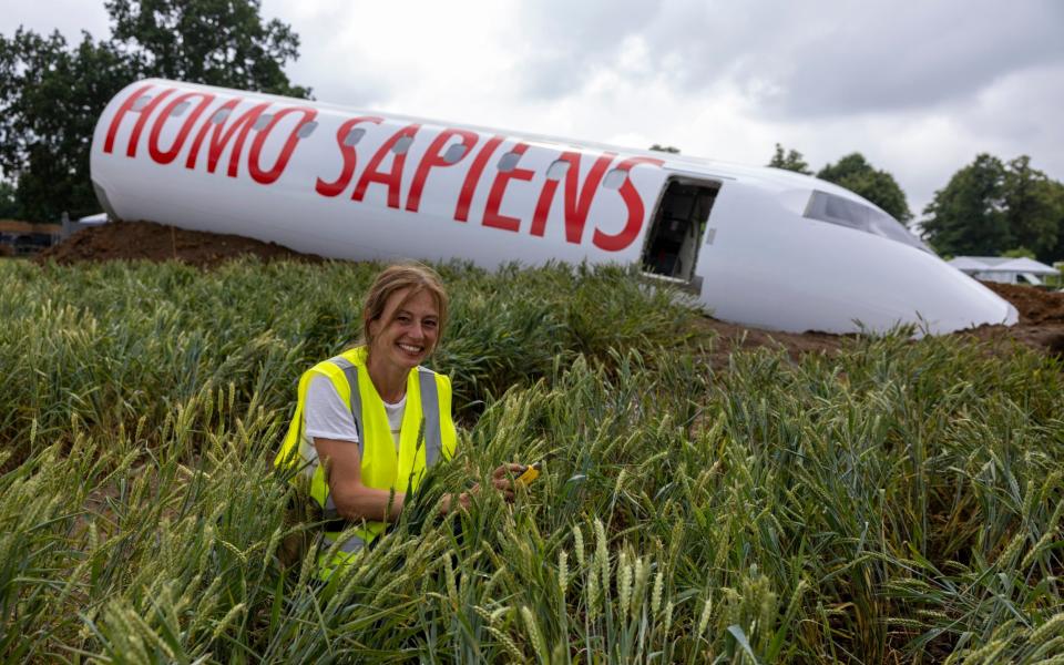 Felicity O’Rourke’s gargantuan ‘Extinction’ garden: a crashed full-sized plane with the words ‘Homo Sapiens’ on the side - Heathcliff O'Malley