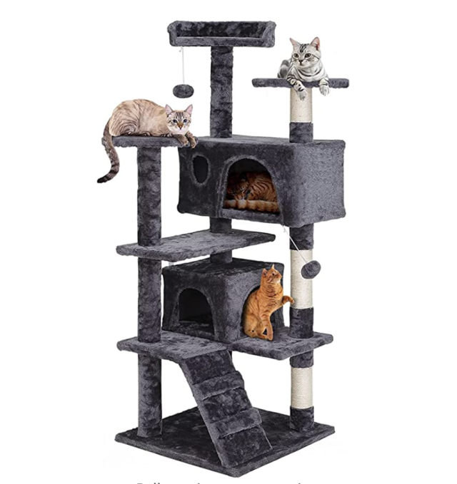 Goodbye Cat Condo!