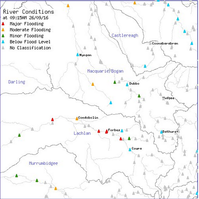 River conditions Monday morning. Photo: BOM