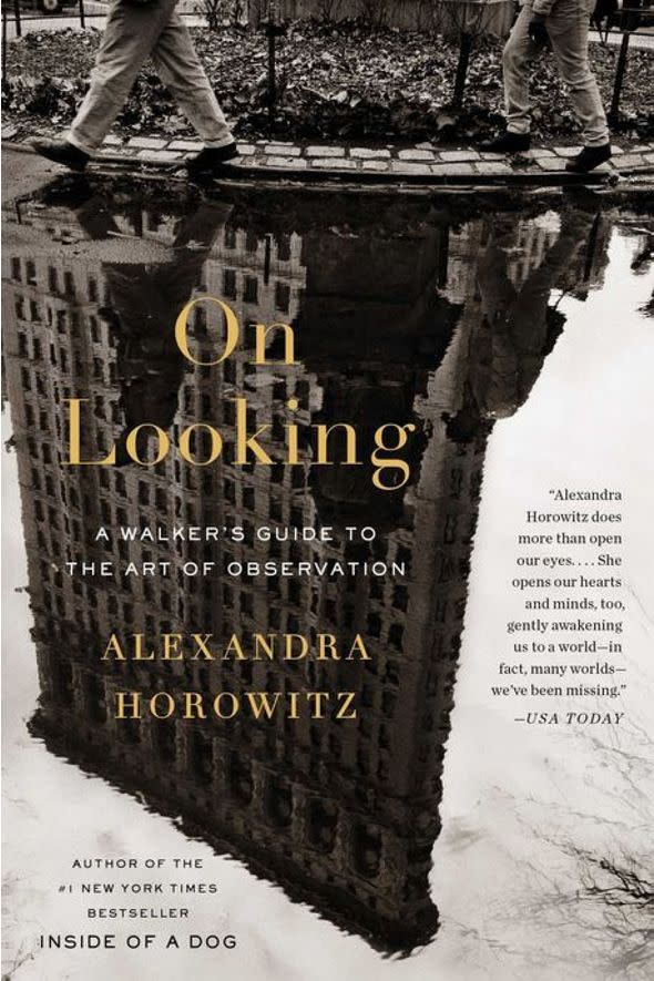 On Looking: A Walker’s Guide to the Art of Observation by Alexandra Horowitz