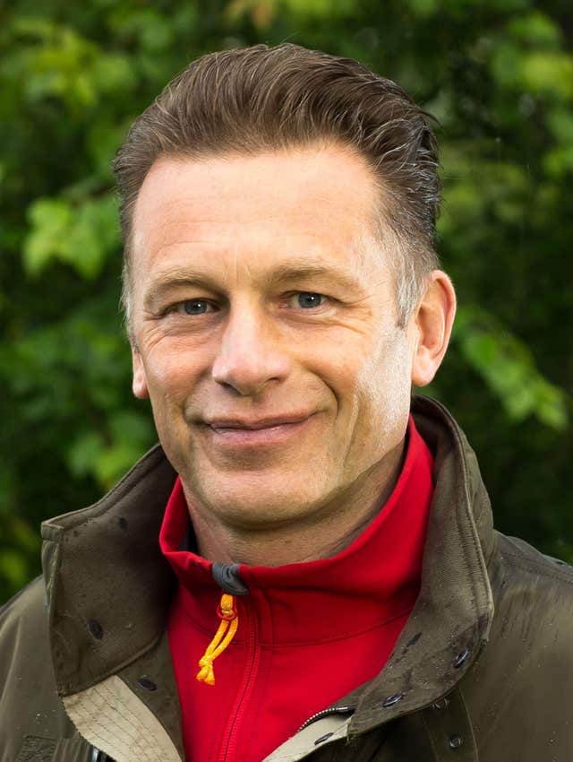 Bring wolves back, Packham says