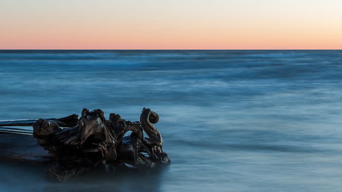 A piece of driftwood resembling a giant sea serpent or monster sits on the edge of Lake Michigan in Grand Haven.