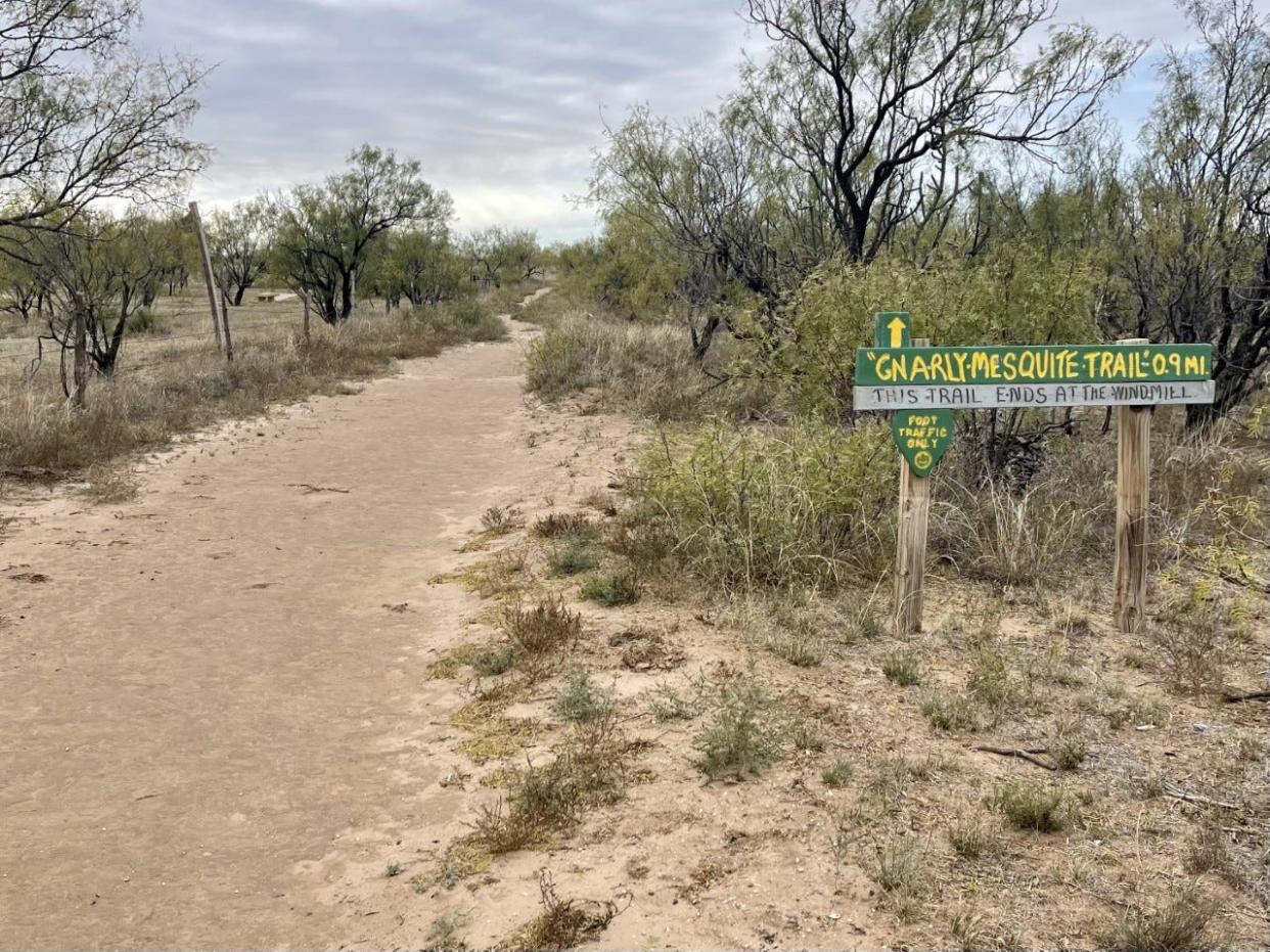 A Gnarly-Mesquite Trail sign shows the way at the Wildcat Bluff Nature Center.