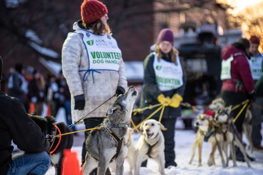 The start of the Copper Dog 150 sled dog race in downtown Calumet, Michigan.