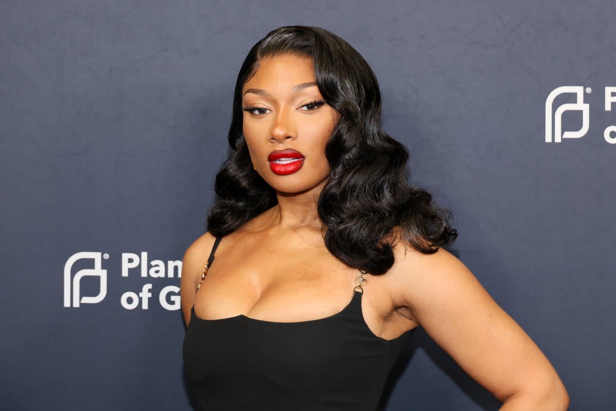 Megan Thee Stallion attends the 2024 Planned Parenthood Of Greater New York Gala in April 2024 (Dia Dipasupil/Getty Images)
