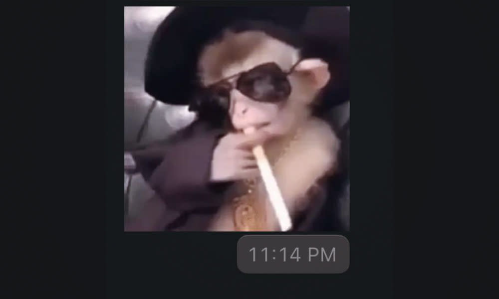 Hacker sends picture of 'smoking monkey' from ex-minister's WhatsApp account