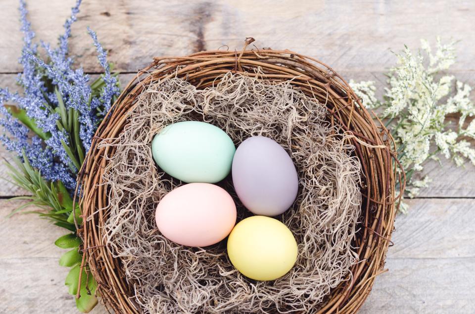 Alternativ kann man auch einfach ungefärbtes Ostergras oder Heu als Deko für die Ostereier nehmen (Symbolbild: Getty Images)