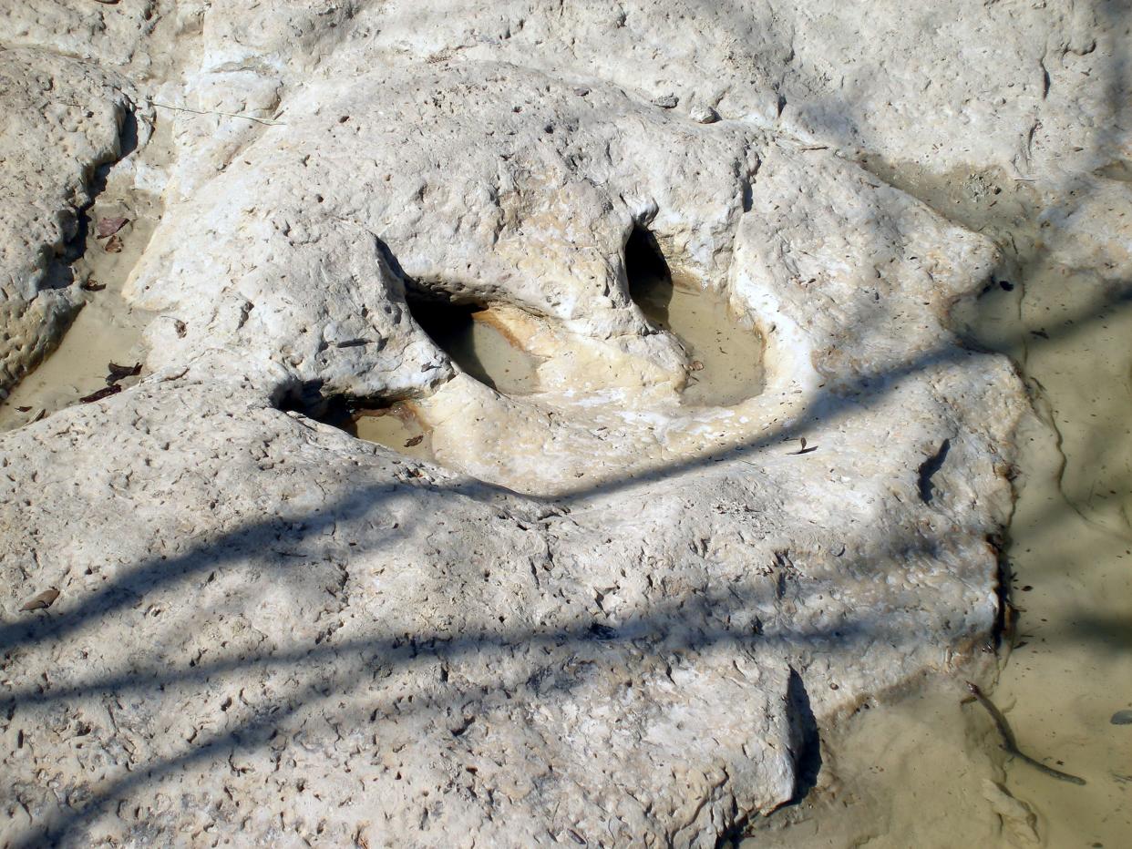 Dinosaur track at Dinosaur Valley State Park in Glen Rose, Texas.