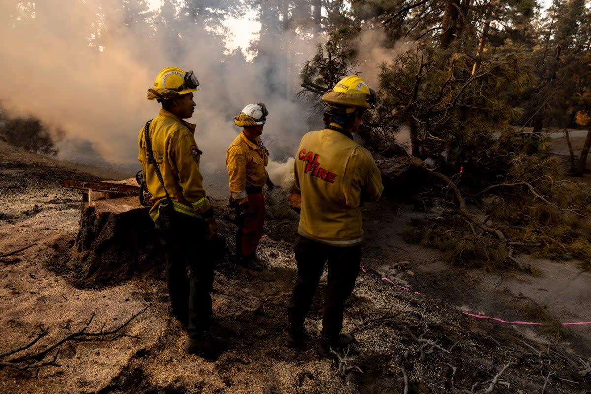 Trump has long railed against California fire policy (AFP via Getty Images)