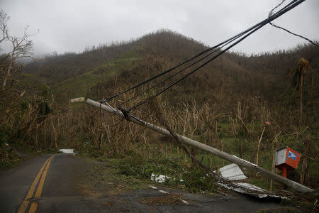 A fallen electric pole is seen next to a road after the area was hit by Hurricane Maria in Yabucoa, Puerto Rico September 22, 2017. REUTERS/Carlos Garcia Rawlins