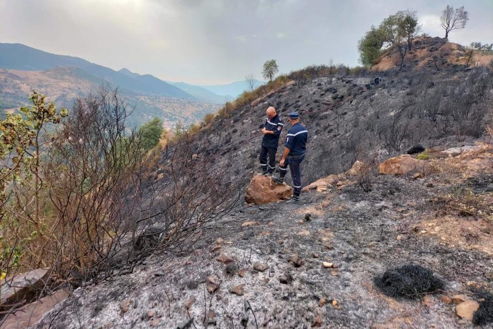 Firefighters inspect the damage caused by wildfires in Setif, Algeria (Algerian Civil Defence)