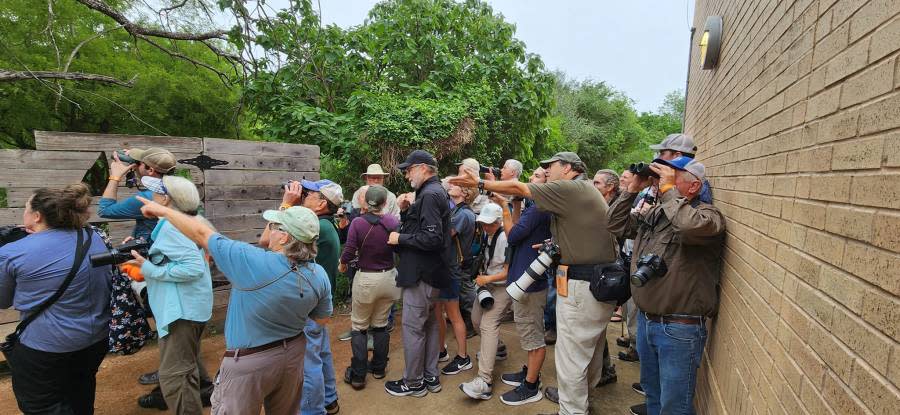 A group of birders visited Resaca de la Palma State Park in Brownsville, Texas, according to a social media post on Nov. 27, 2023. (Courtesy: Texas State Parks)