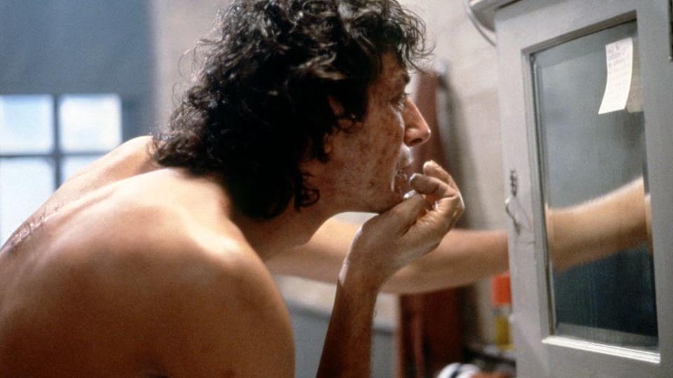 on the set of the fly