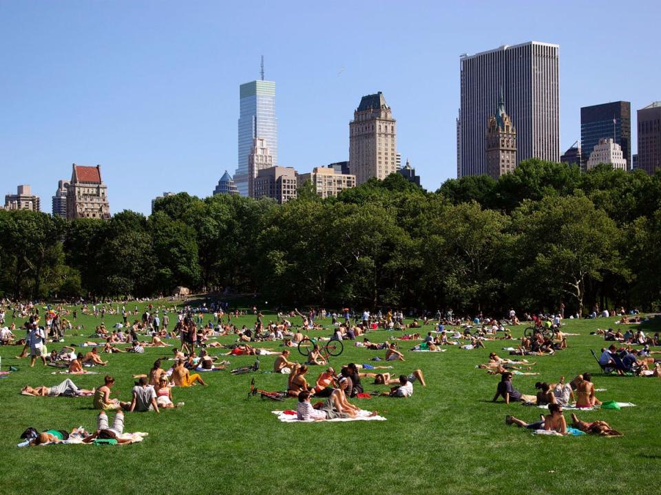 sheep's meadow central park