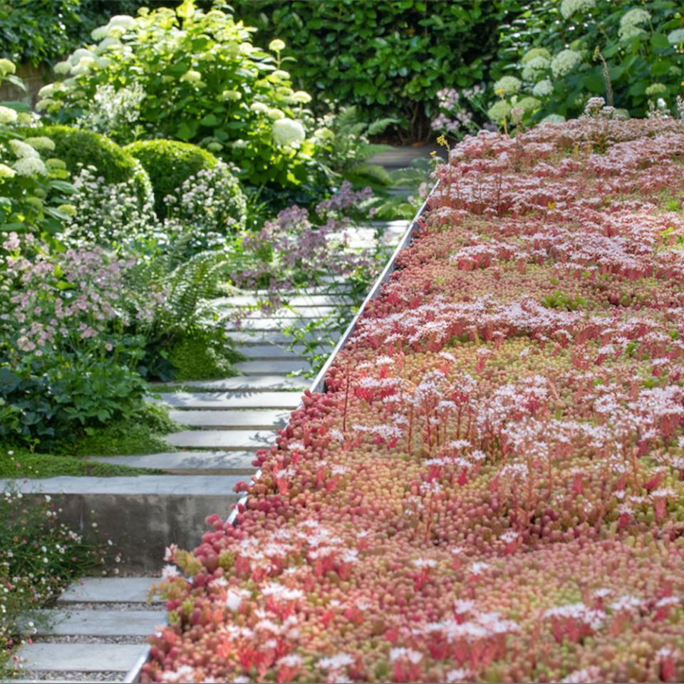 Create a flowering roof