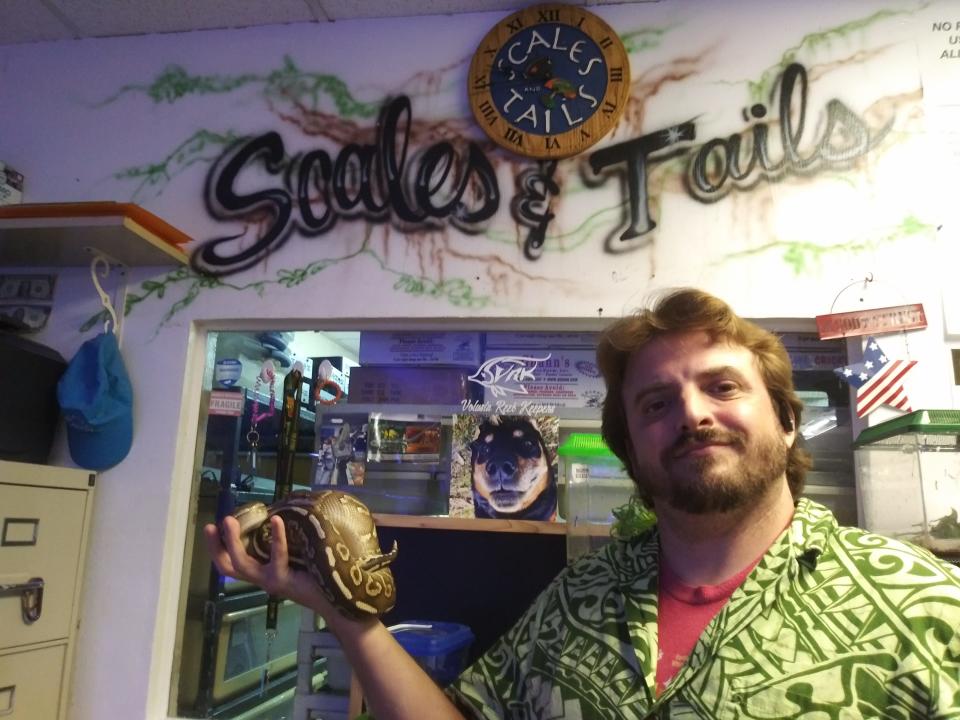 Curtis Elliott, a full-time volunteer at Snails and Tails reptile shop in Holly Hill, says ball pythons are low-maintenance pets. “It only eats once a week, so it only poops once a week,” he said.