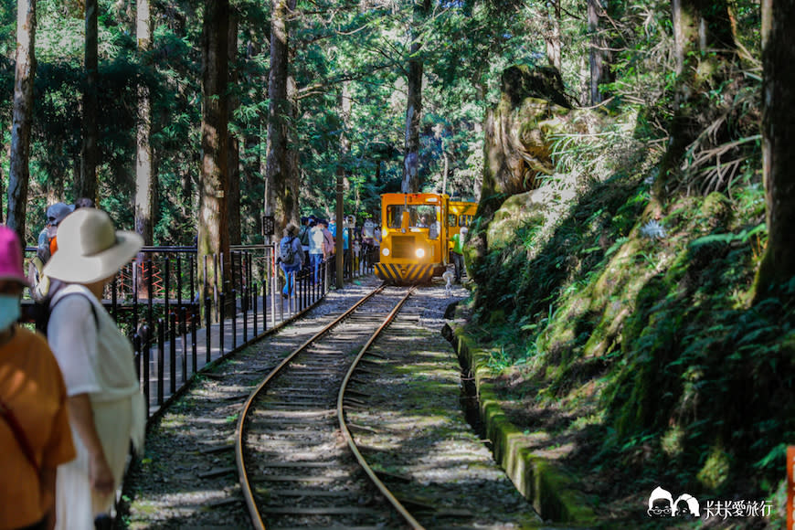 宜蘭太平山蹦蹦車之旅