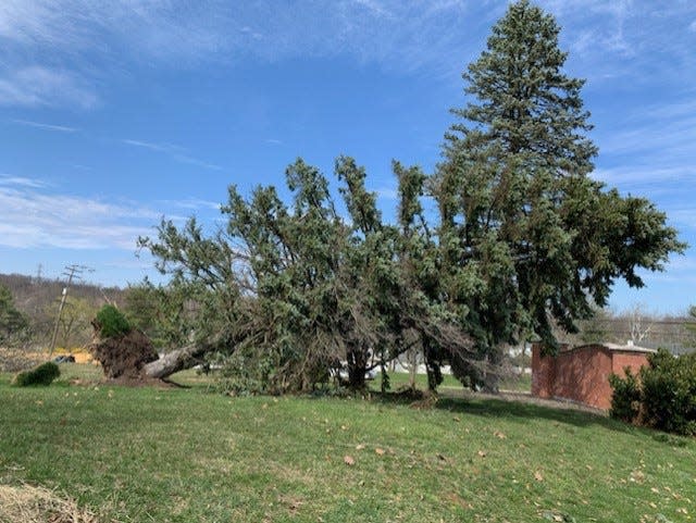 An EF1 tornado uprooted large trees on the campus of Bucks County Community College in Newtown Township Saturday night, among other damage.