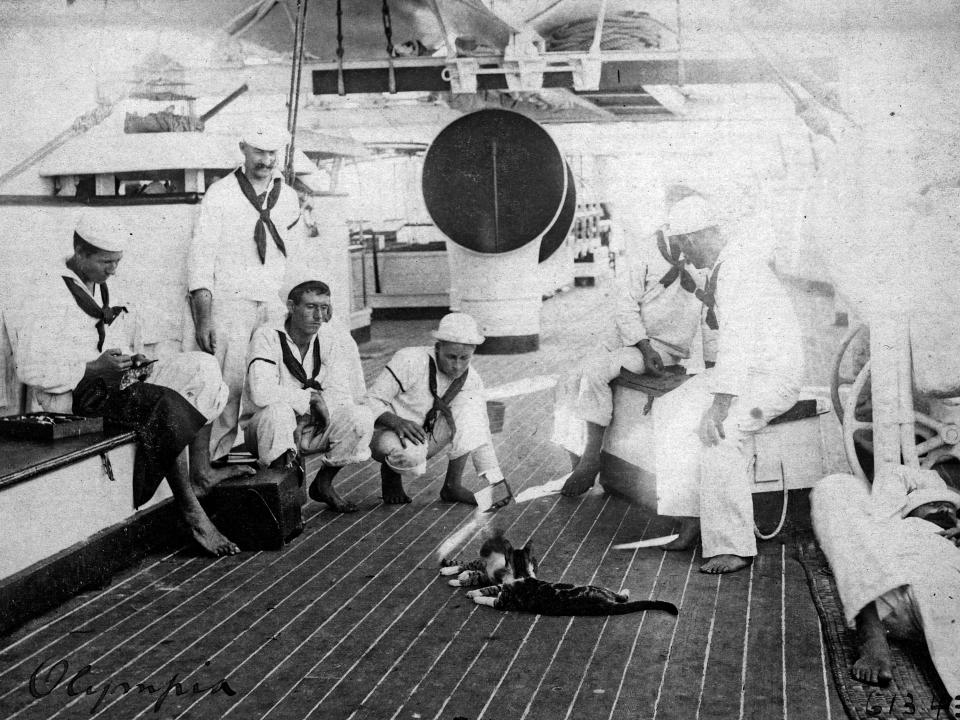 Men aboard the USS Olympia use a small mirror to play with a cat on board in 1898.