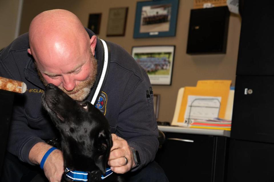 O’Fallon paramedic supervisor Tim McClain shows JuJube some love while on the job.