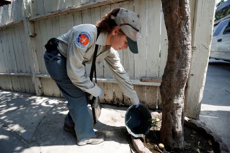 A Greater Los Angeles County Vector Control District worker pours away stagnant water as she searches for mosquitoes in a backyard in Los Angeles, California, U.S., May 18, 2016. REUTERS/Lucy Nicholson