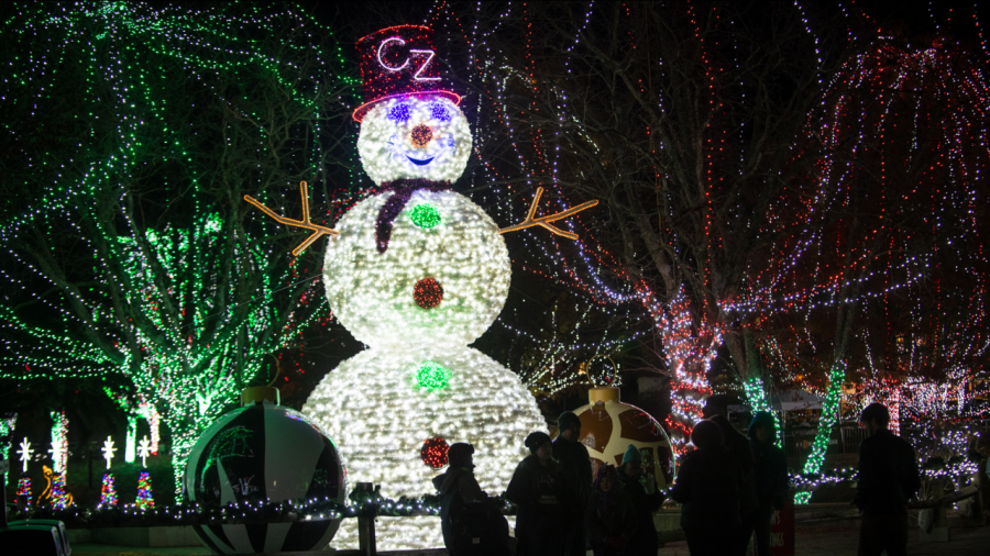 Wildlights opens on Friday running through Jan. 7, 2024, and is included with regular zoo admission while free for zoo members. (Courtesy Photo/Grahm S. Jones)