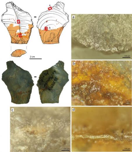 Micrographies montrant des traces d\'usure sur un outil utilisé par les Néandertaliens au Paléolithique moyen. Crédit : D. Greinert, Staatliche Museen zu Berlin