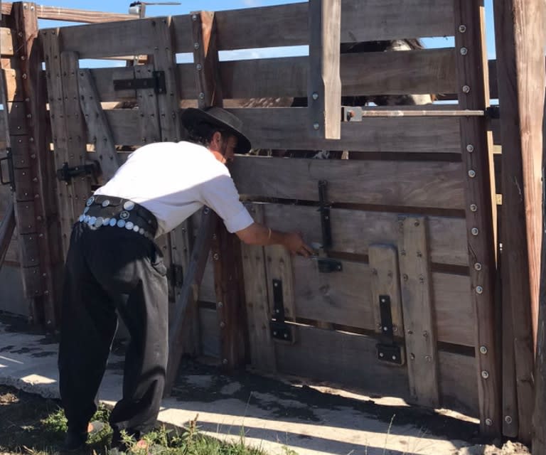 En su rol de ganadero, trabajando en la manga